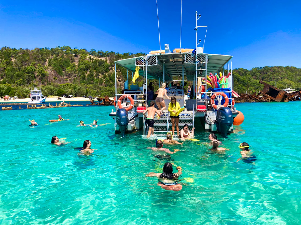 Tangalooma Wrecks & Dolphin Cruise with Transfer Review